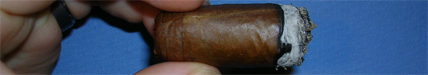 Perdomo Habano Corojo - 5